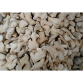 New Promotion purity natural Best selling ginger price in china